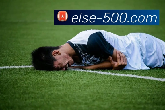 500彩票网发展历程