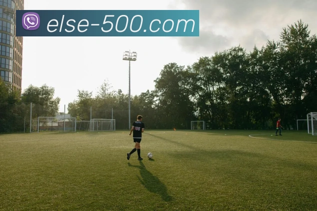 米体：奥托利尼擅长挖掘潜力球员，今夏他将主导尤文引援思路